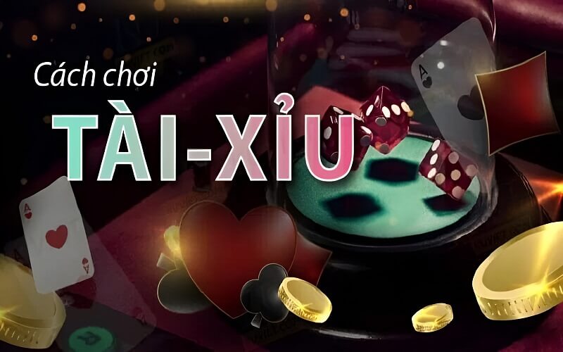 Cách chơi tài xỉu đảm bảo luôn thắng