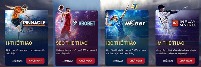 Cá cược thể thao, tựa game đang được ưu chuộng nhất hiện nay