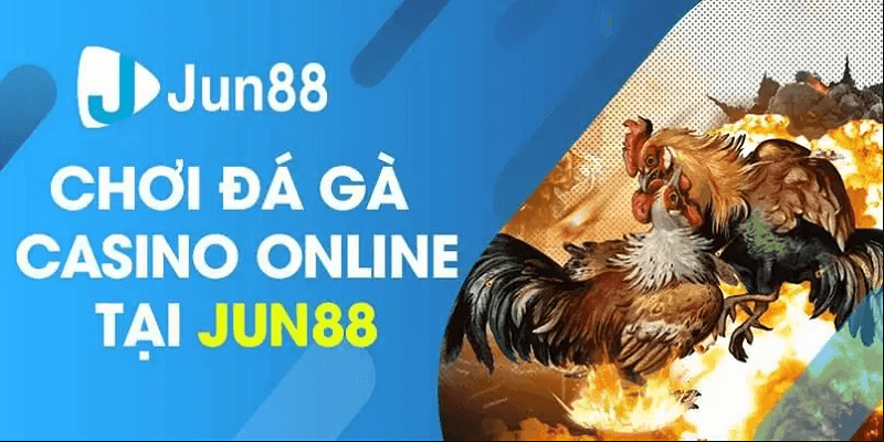 Không thể bỏ qua tựa game đá gà online đầy kịch tính ở nhà cái Jun88