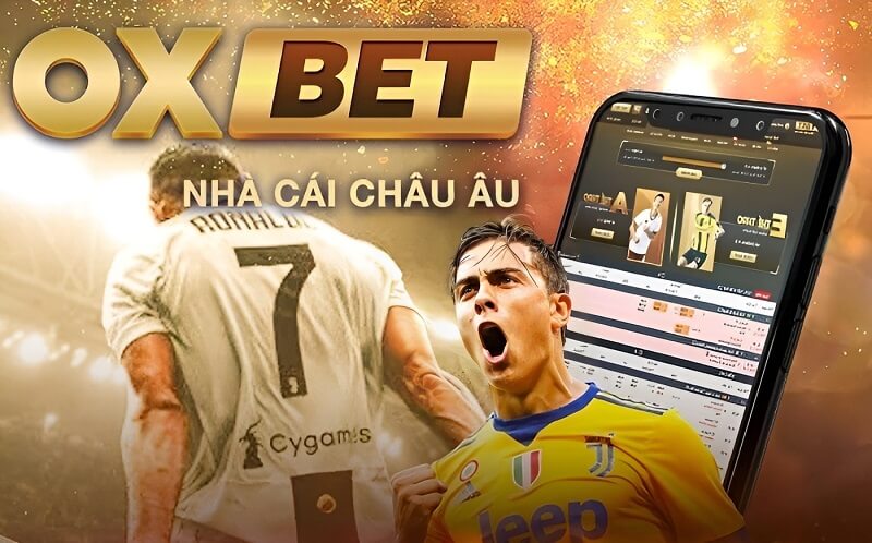 Những thông tin quan trọng khái quát về nhà cái uy tín Oxbet