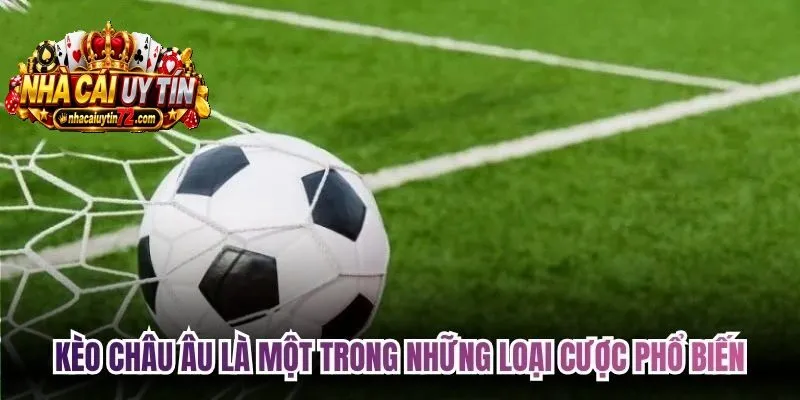 Mẹo Cược Kèo Châu Âu là một trong những loại cược phổ biến, rất được yêu thích