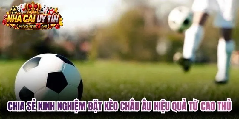 Chia sẻ kinh nghiệm đặt kèo châu Âu hiệu quả từ cao thủ