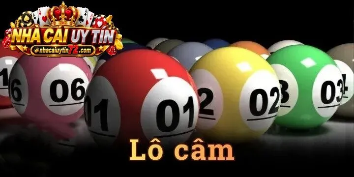 Lô Câm là gì?